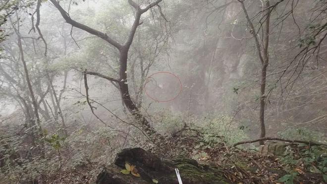 坠崖下山送医途中死亡！人生就是搏一男子登山时(图2)